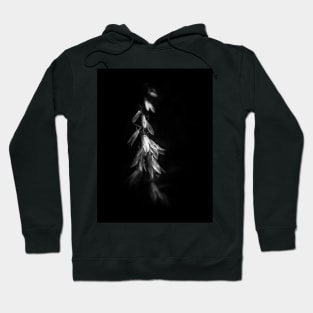 Black Flower Hoodie